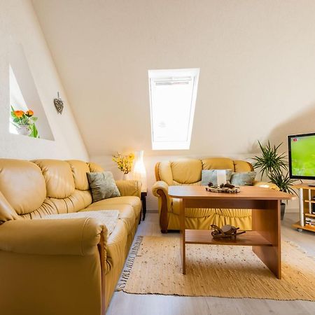 Waldblickwohnung Mit Schoener Terrasse Und Kamin Sebnitz Dış mekan fotoğraf