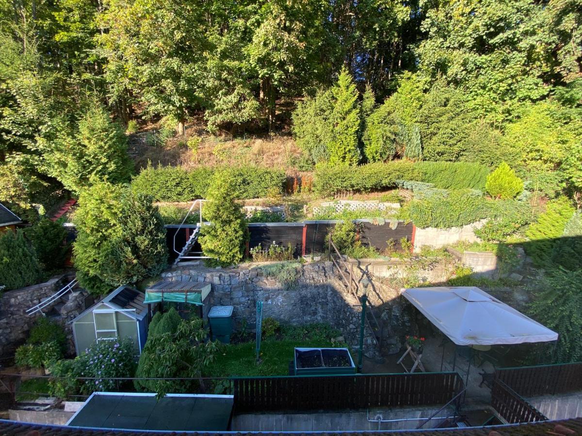 Waldblickwohnung Mit Schoener Terrasse Und Kamin Sebnitz Dış mekan fotoğraf