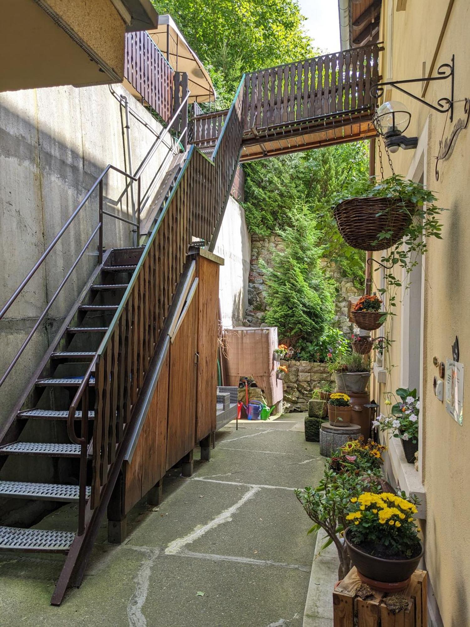 Waldblickwohnung Mit Schoener Terrasse Und Kamin Sebnitz Dış mekan fotoğraf